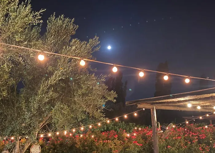 B&B Terre Di Paestum Capaccio